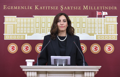 DEVA Partili İstanbul Milletvekili Evrim Rızvanoğlu’ndan orman yangınları eleştirileri