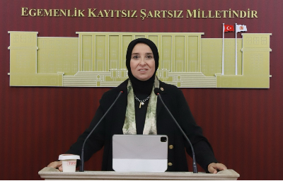 İstanbul Milletvekilimiz Elif Esen: "’Hadi gel köyümüze geri dönelim' sözü gerçek bir devlet politikası haline gelmelidir"