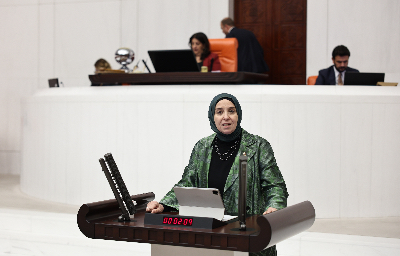 Komisyonda sözü kesilen Esen: “Engelli çocukların güvenliğini savunmak siyasi istismar değildir”